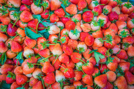 红色的草莓背景