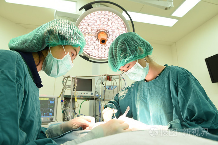 两名兽医外科医生在手术室里