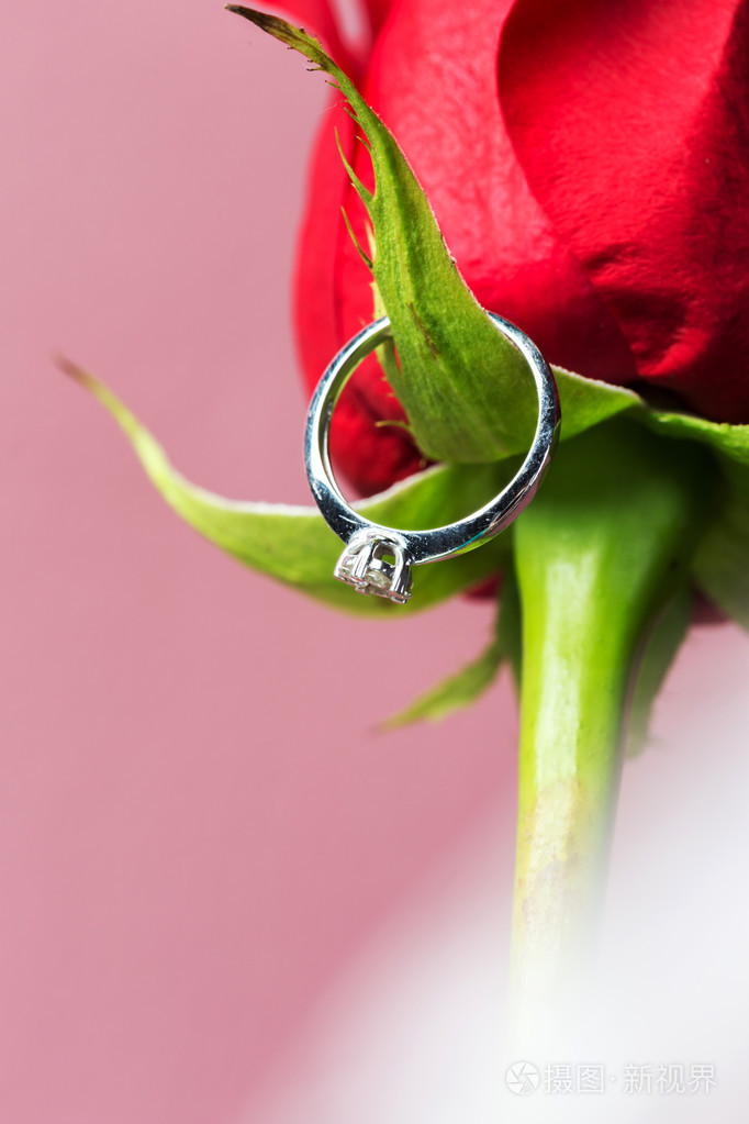玫瑰和金戒指