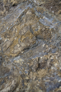 岩石背景灰色和褐色石头表面细节与拷贝空间