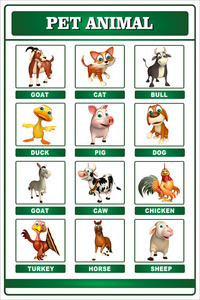 宠物动物图表