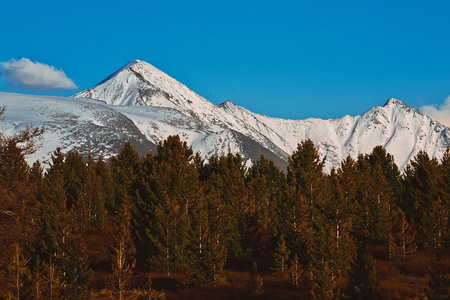 夏季山区景观阿尔泰山。 俄罗斯西伯利亚