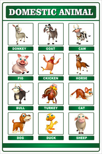 驯养动物图表
