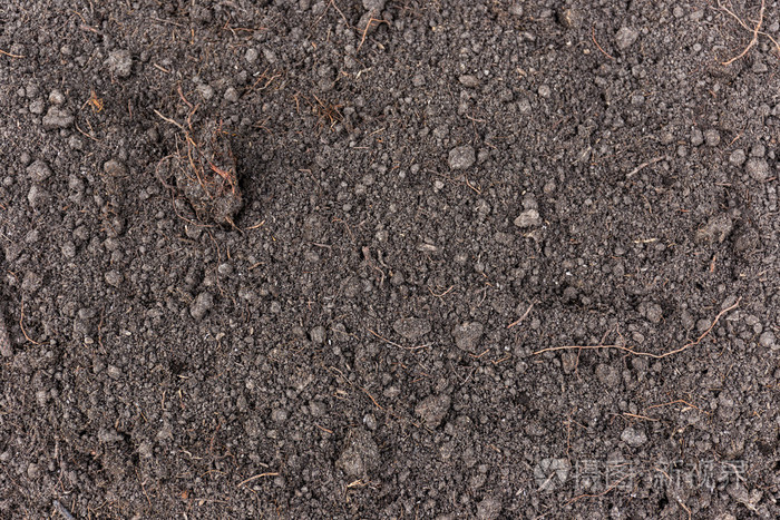 棕壤质地