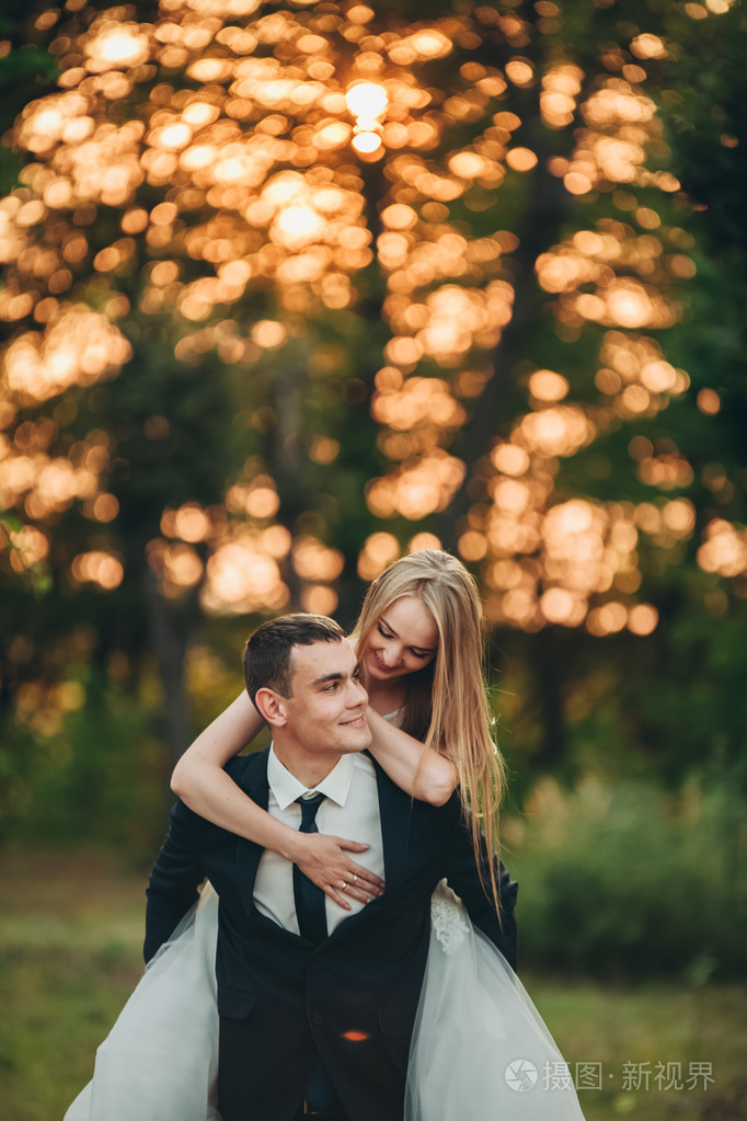 美丽浪漫新婚夫妇的新婚夫妇在公园中拥抱着日落