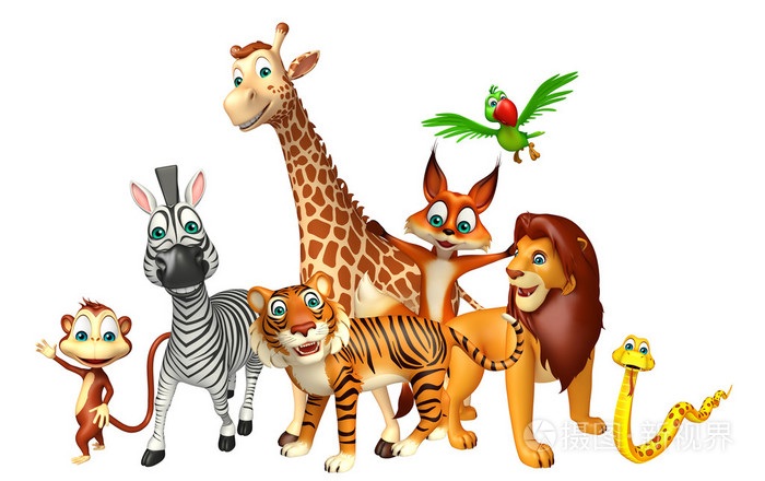 野生动物集合