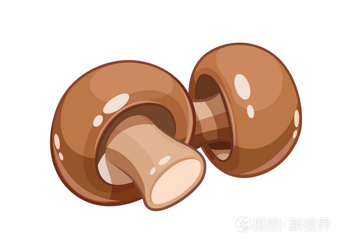 孤立的新鲜香菇蘑菇矢量图 eps10