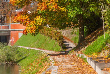 秋天在卢布尔雅那，斯洛文尼亚