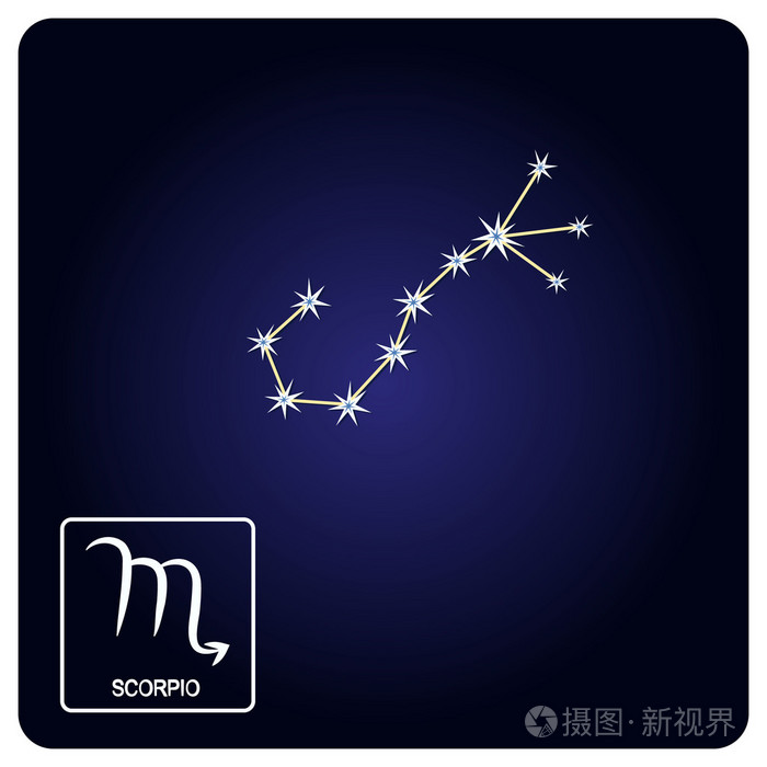 天蝎星座与星座天蝎座的股票矢量图标