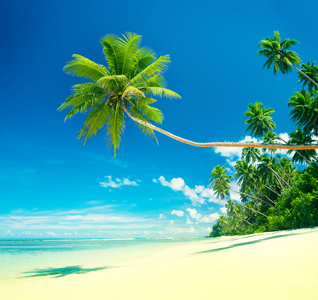 热带海滩度假村美的自然观