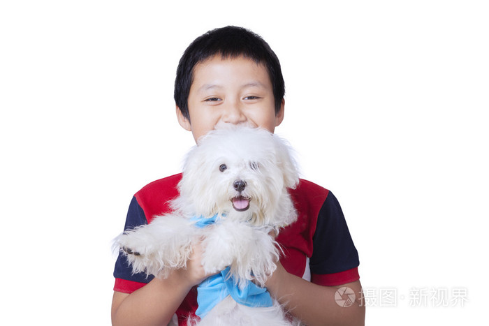 可爱的亚洲男孩拿马尔济斯犬照片 正版商用图片1mmx98 摄图新视界