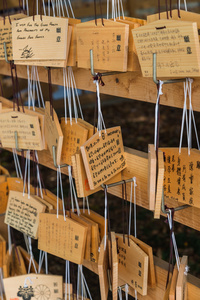 在上野神社东京木祝斑块多