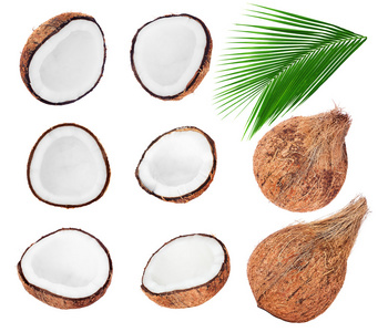 在白色的新鲜椰子的集合