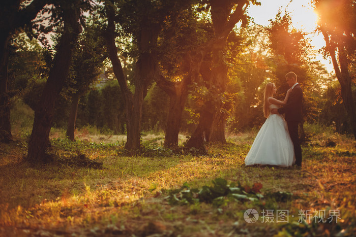 美丽浪漫新婚夫妇的新婚夫妇在公园中拥抱着日落