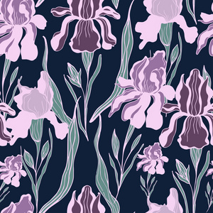 模式鸢尾花图片