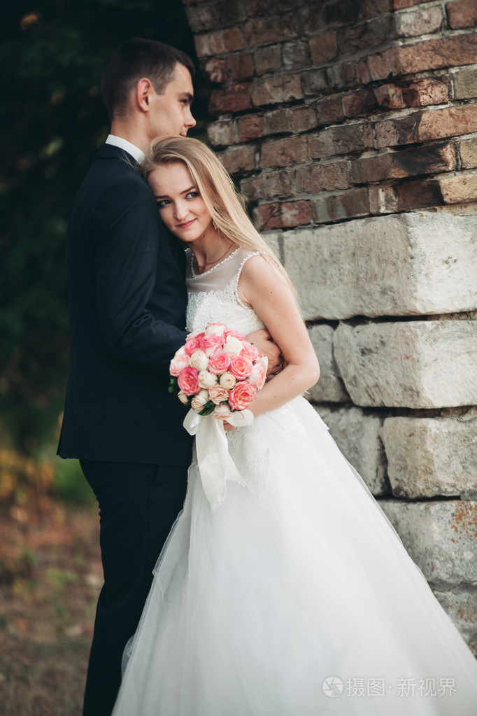 美丽浪漫新婚夫妇的新婚夫妇拥抱在旧城堡附近
