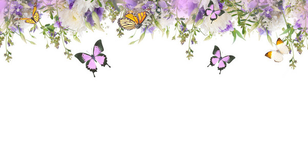 边境的花朵和蝴蝶