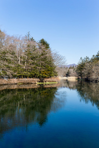 Kumobaike 水池塘在轻井泽