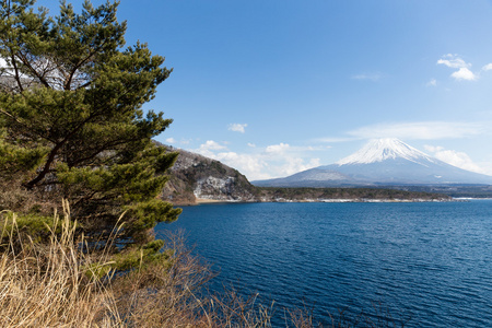 湖本栖湖与山富士