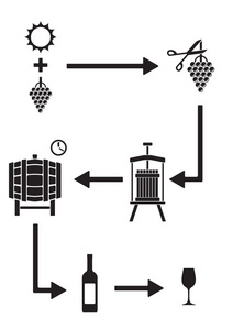 葡萄酒的生产