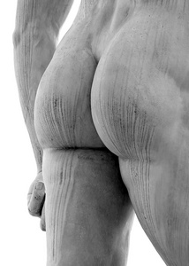 白色臀部实心大理石雕像的对接
