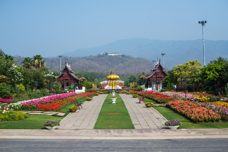 椅子在花园皇家植物群 Ratchaphruek，国王陛下的国际园艺博览会，清迈，泰国