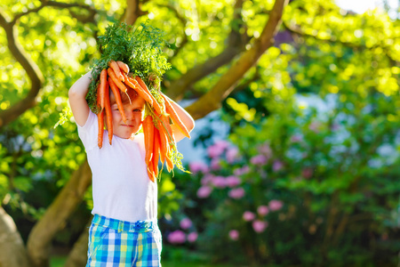 滑稽的小小孩男孩用在国内的花园里的胡萝卜