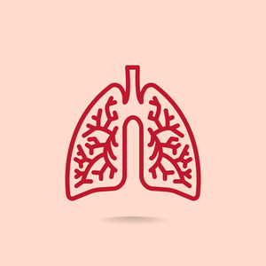 肺部解剖图标