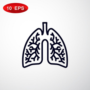 肺部解剖图标