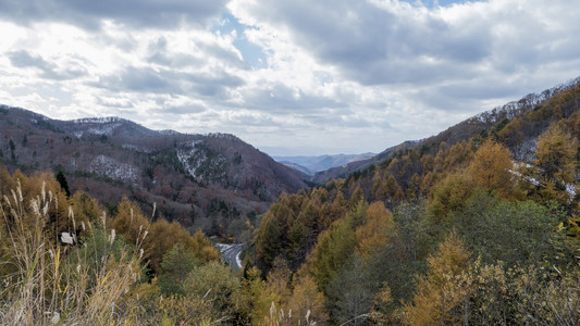 不动流和红色桥在山中野红叶