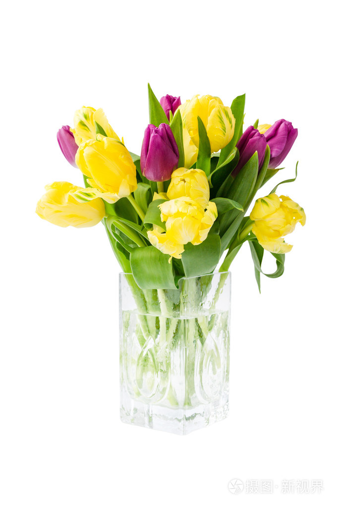 花瓶中的黄色郁金香花束隔离在白色上