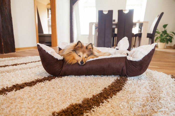 图片作者huettenhoelscher新媒体授权标准授权扩展授权如何选择jpg大