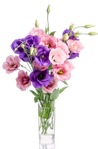 束紫罗兰色，白色，粉红色的桔梗花玻璃花瓶中是