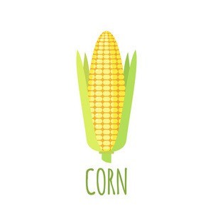玉米在白色背景上的平面样式的图标