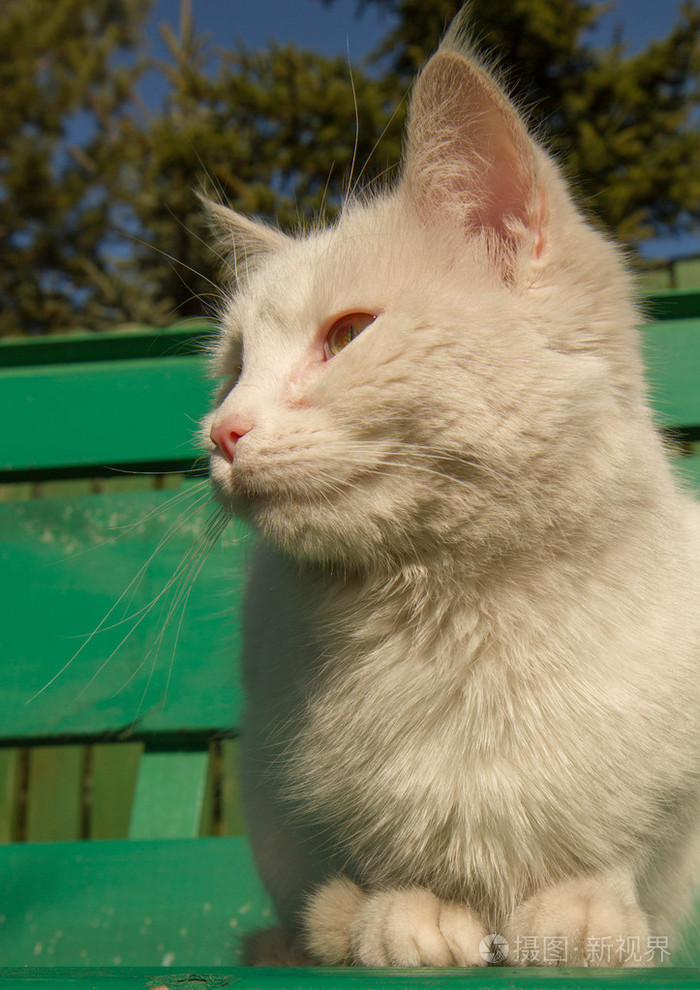 以图搜图id:1mny8r授权范围商业用途,可用于营利性