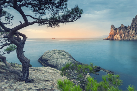 极简主义的海景。沿海日出