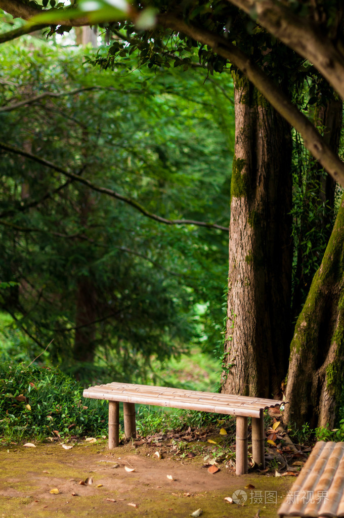 美丽的景色,在公园的长椅上