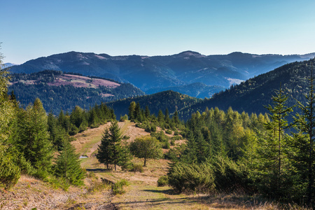 美丽的风景与谷山背景