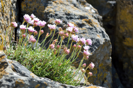 海上节俭Almeria Maritima