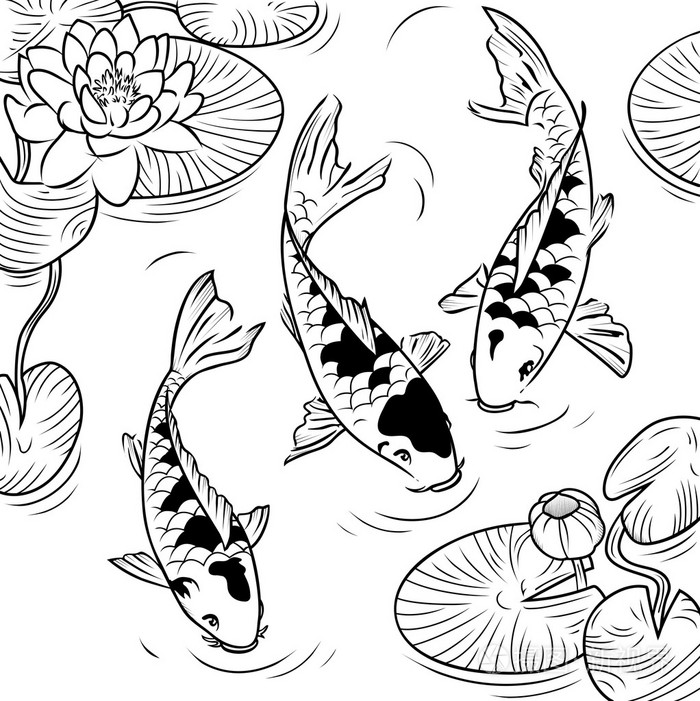 锦鲤鱼和水百合插画-正版商用图片1mo949-摄图新视界
