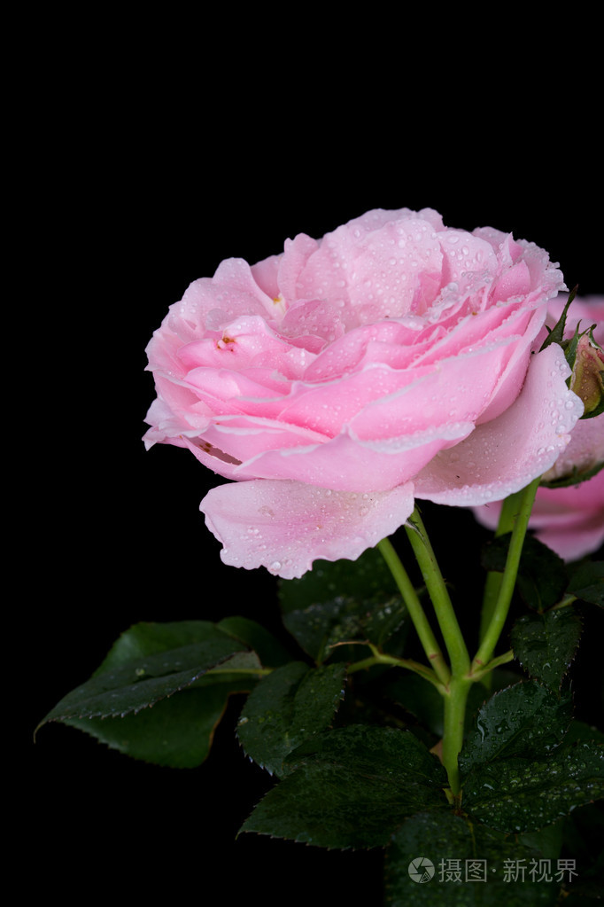 682_1023竖版 竖屏