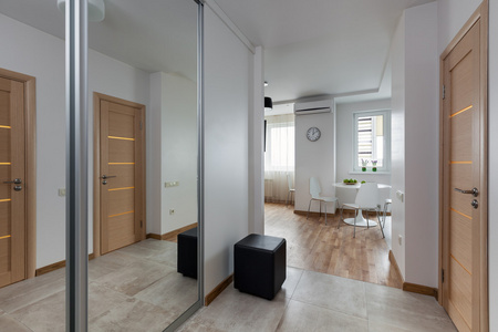 内部的斯堪的纳维亚风格的现代公寓