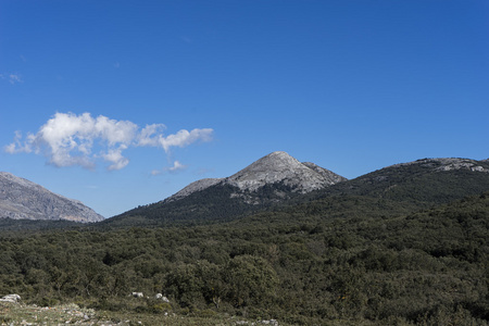 马拉加尼弗斯自然公园 Alcojona 峰