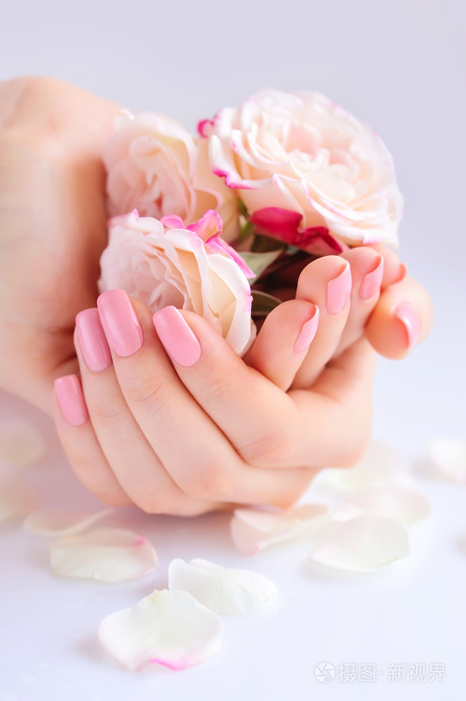 与粉红色指甲指甲和玫瑰白色背景上一个女人的手照片-正版商用图片1