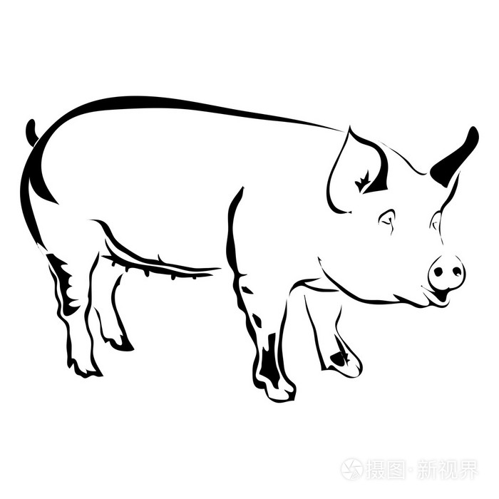 猪的简化图图片