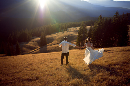 新婚快乐夫妇运行带来欢乐在群山环绕中的字段