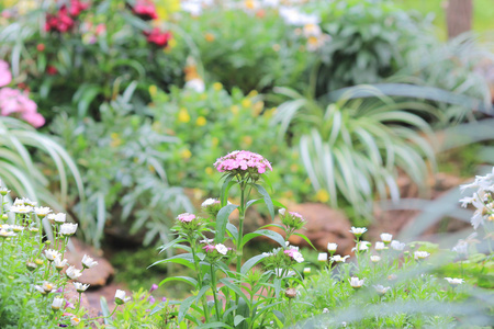 正式花园花坛