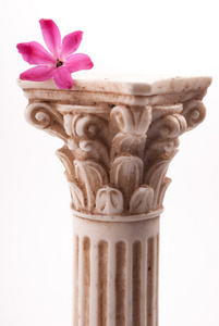 古典柱式与花