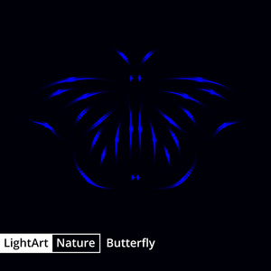 灯在黑色背景上的蝴蝶剪影