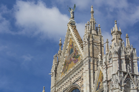 锡耶纳的大教堂，献给祝福橄的假设